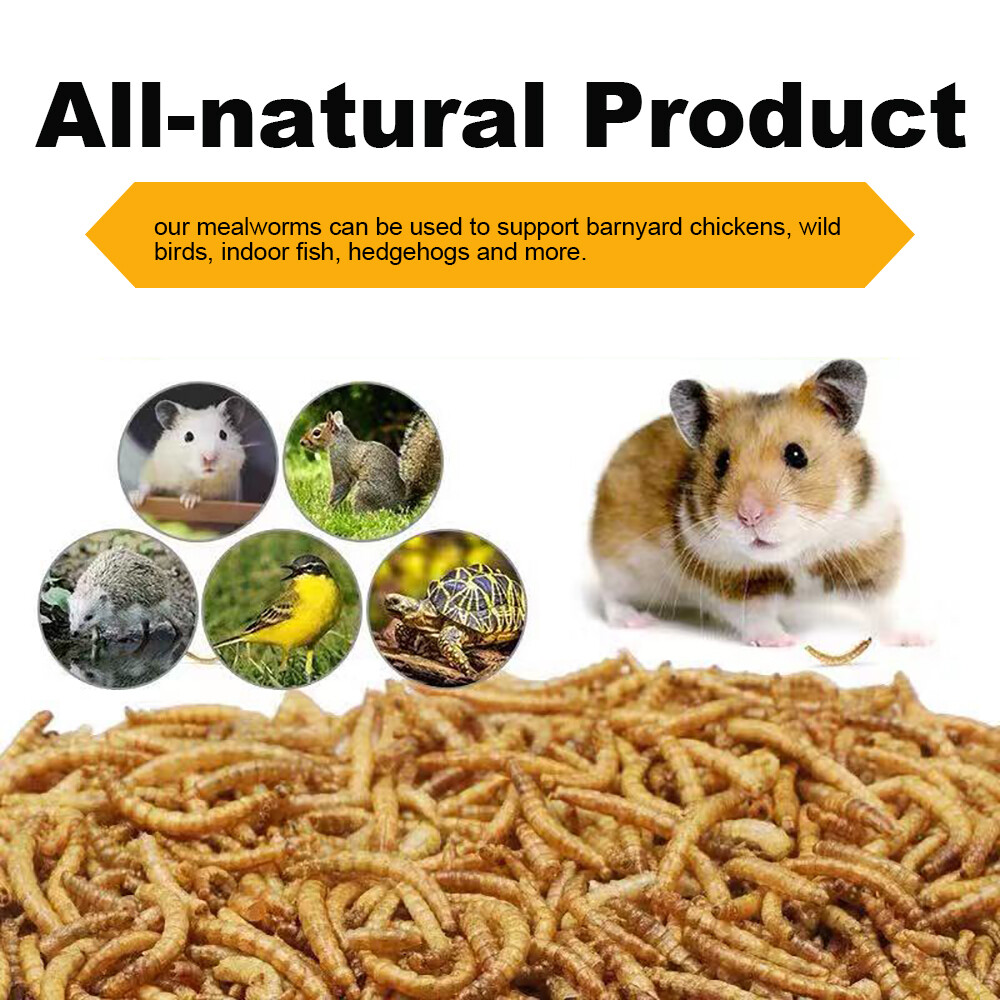 30 LBS Bulk Dried Mealworms Wild Birds Food Chickens Hen Fish Treats Food US NEW