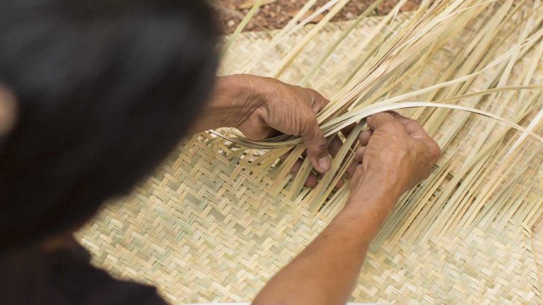 Petate Tule Rush Straw Rug Handwoven Palm Organic floor bed bedroll mat 3.5'x6'