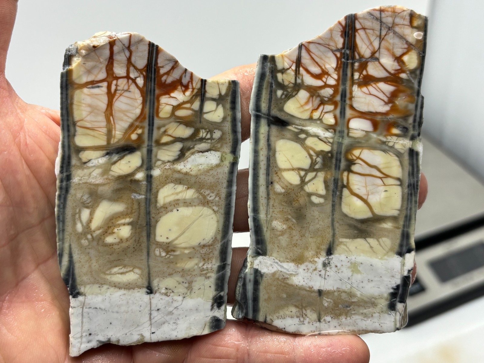 Picasso Marble (Jasper) Slabs Cabbing Lapidary Utah Combo Ship Avail