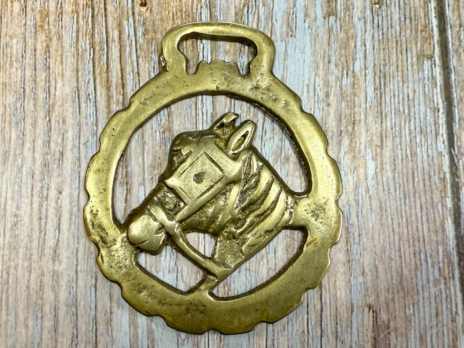 Horse Head with Blinkers Openwork Bridle Harness Saddle Medallion