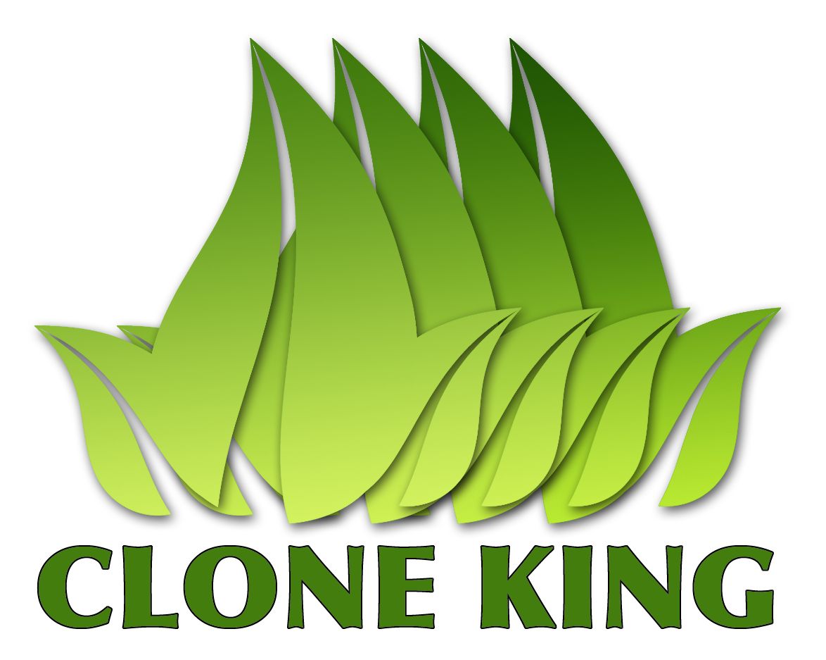 CLONE KING AEROPONIC CLONING MACHINE 25 SITE CLONER 100% WILL ROOT VERY EASY