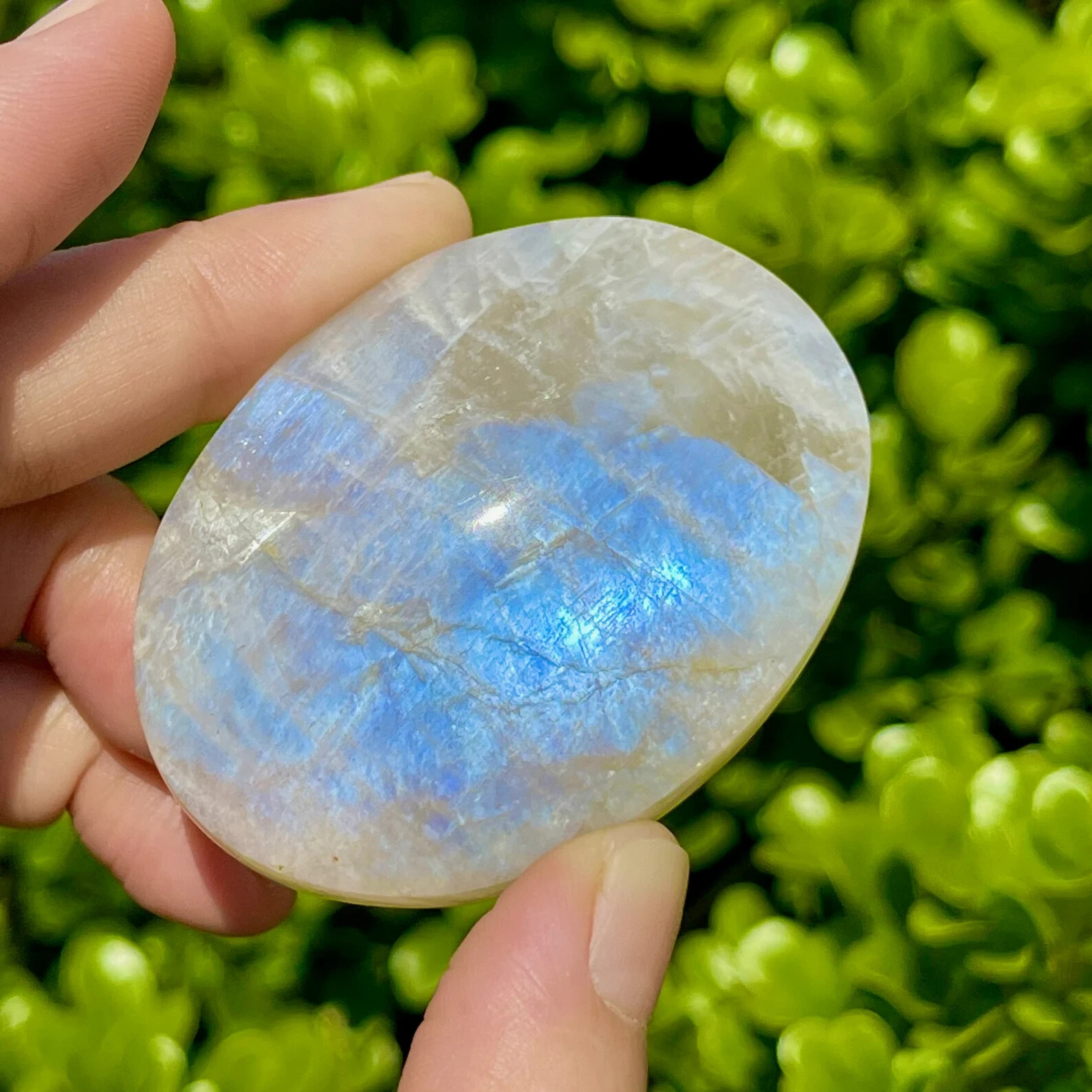 Natural Moonstone Palm Stone Polished Calming Healing Crystal Tumbled Stone Gift