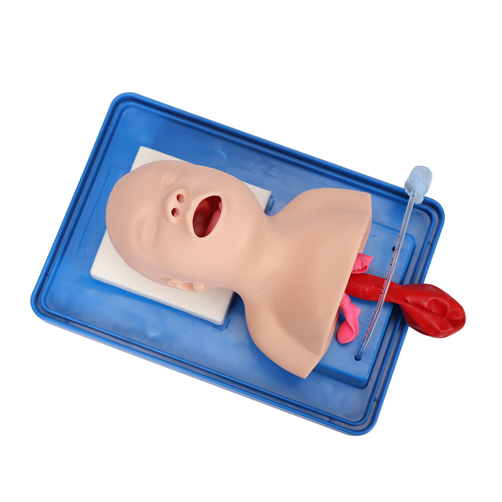 Intubation Manikin Study Baby Infant Teaching Airway Management Trainer Model