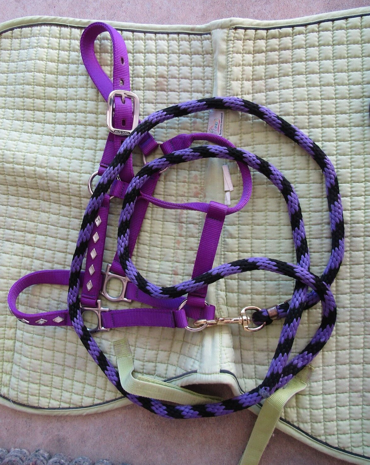 Horse riding and care equipment large lot !