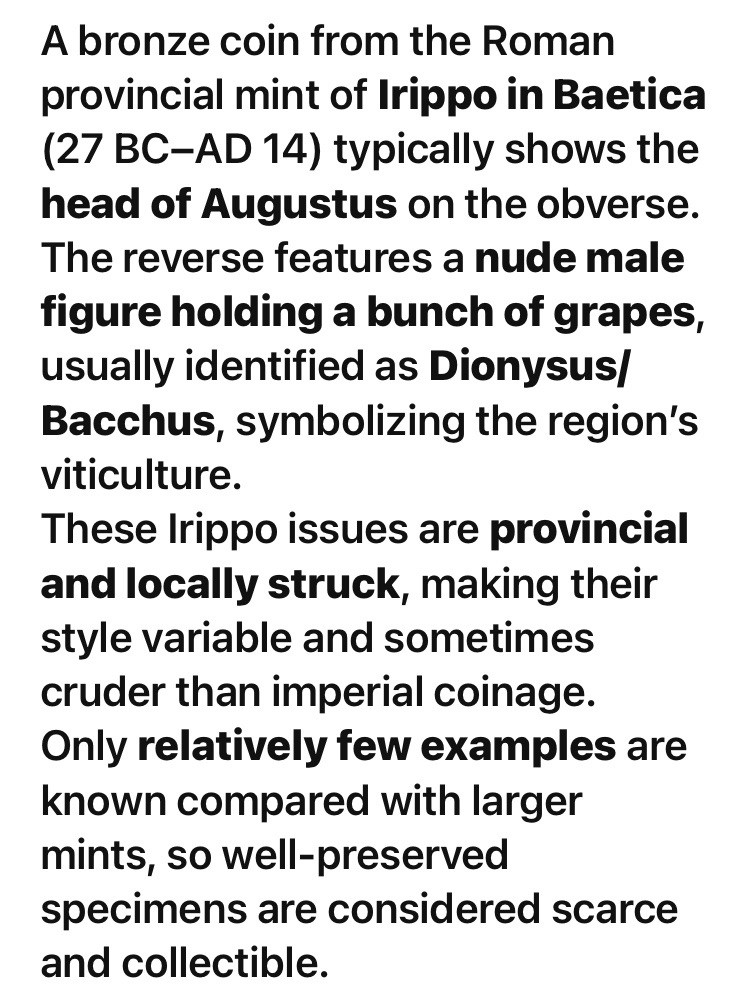 Roman Province of Baetica 42BC-1BC Coin Augustus Male Figure Holding Grapes Rare