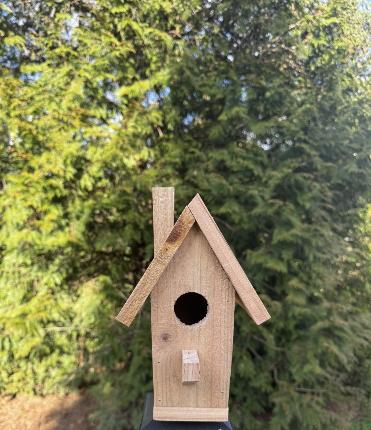Handmade Cedar Birdhouse w/ Chimney Rustic Outdoor Wren Chickadee Nest Box
