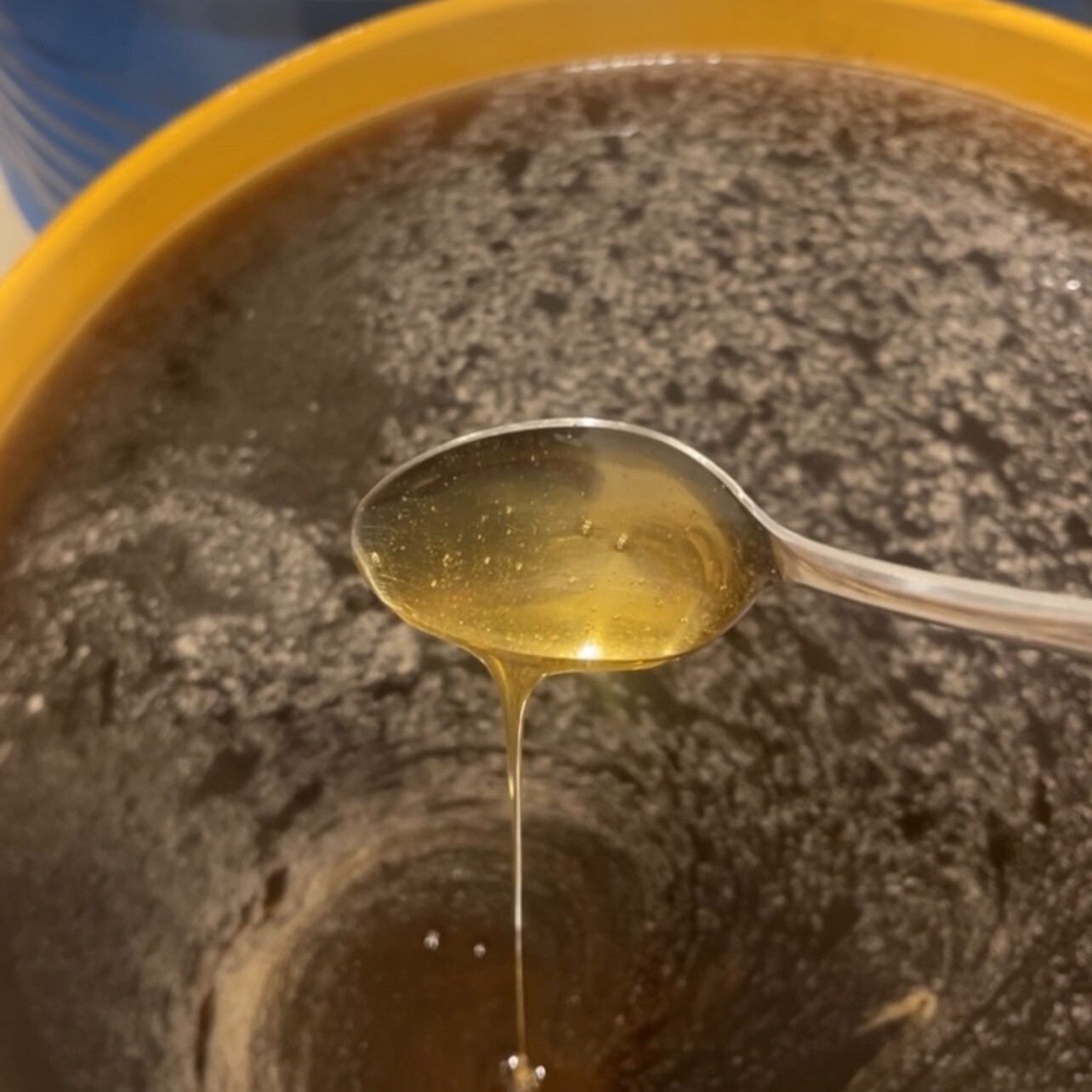 Bulk Raw Wildflower Honey 12 lb Jug (1 Gallon) by Arvoli Honey