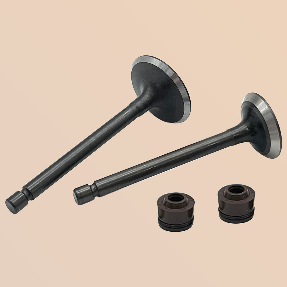 Engine Intake & Exhaust Valves for Yamaha TTR125 TTR125E TTR125EL 2000-2018