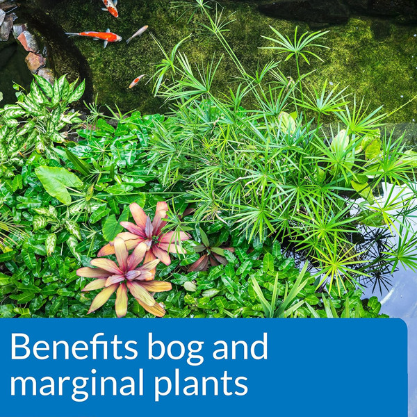 API Pond Aquatic Plant Food Tablets 25-Ct. 185A