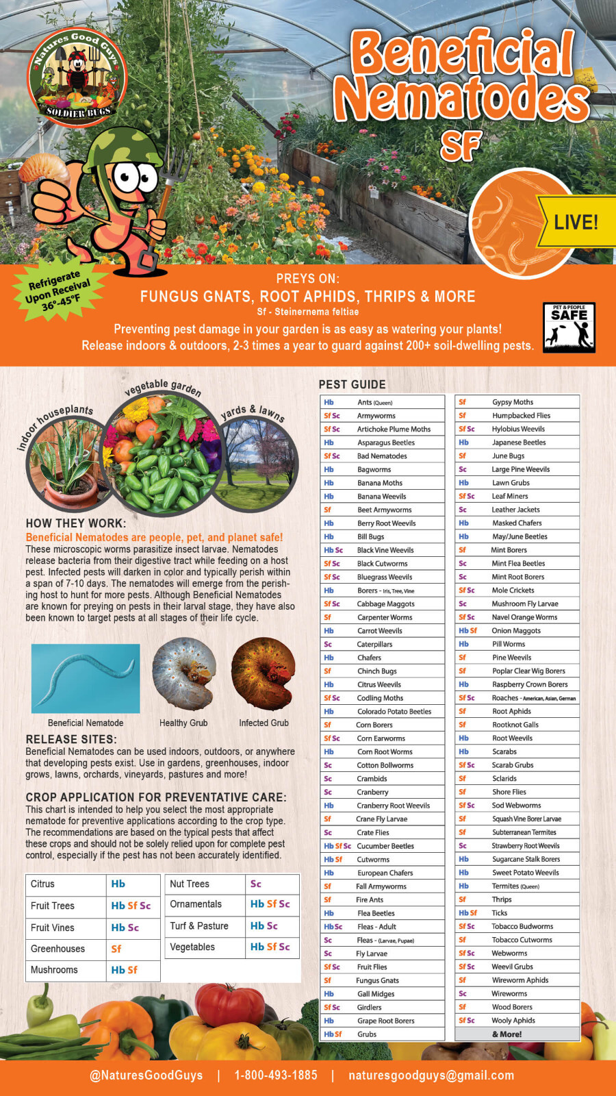 5 Million Beneficial Nematodes SF - Targets Fungus Gnats, Root Aphids & More