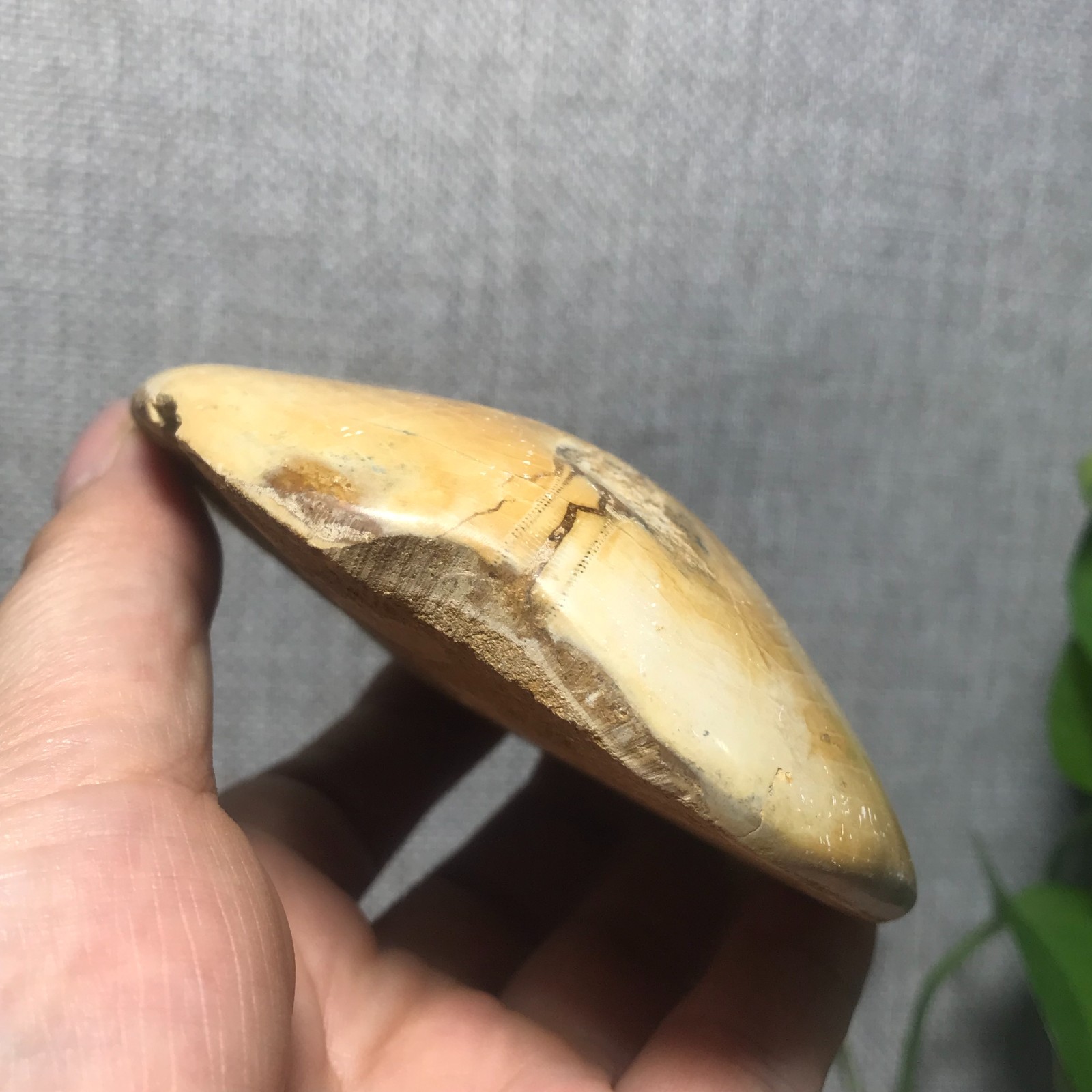 226g Starfish Crystal Specimen 01