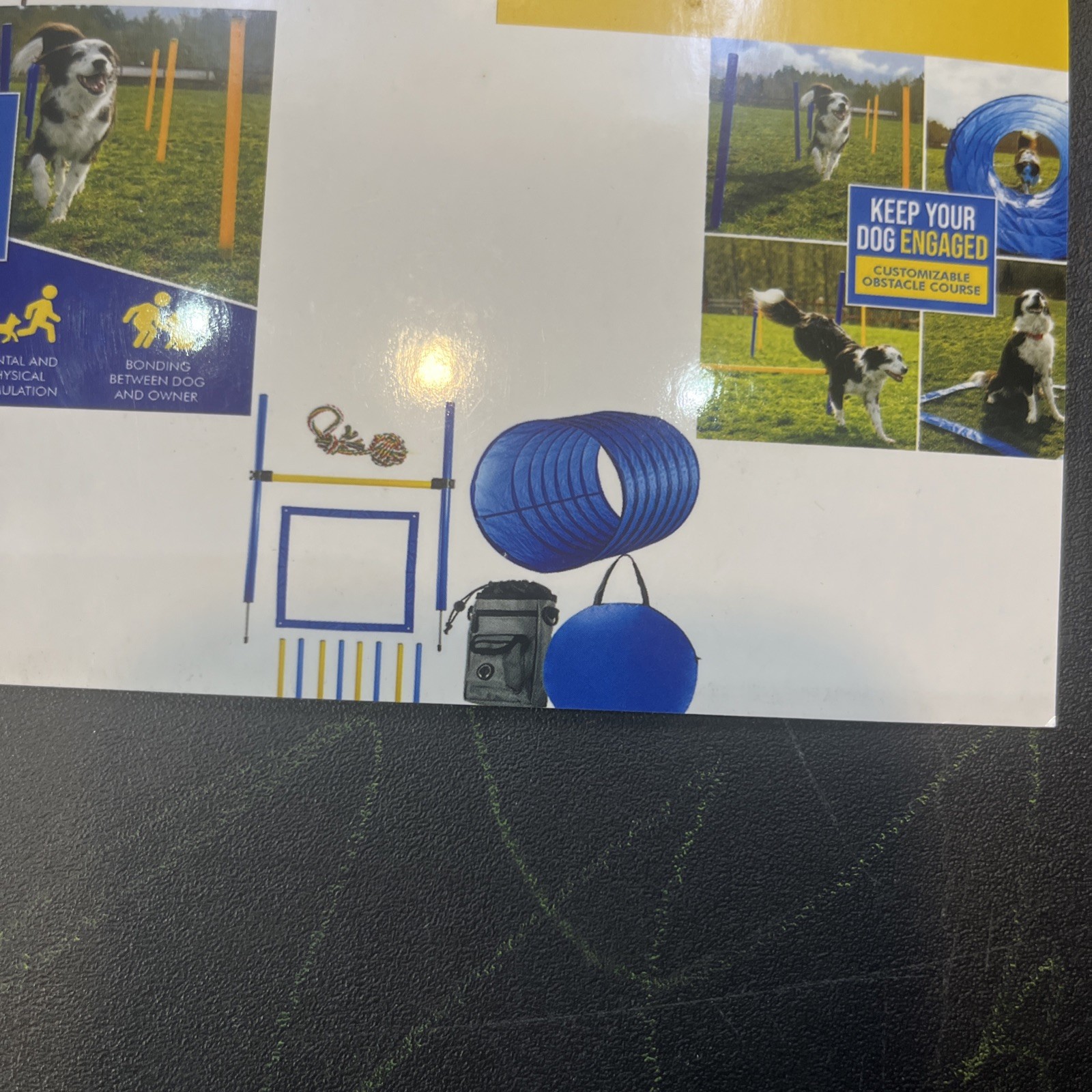 Cheering Pet Dog Agility Obstacle Course Starter Kit – New in Box