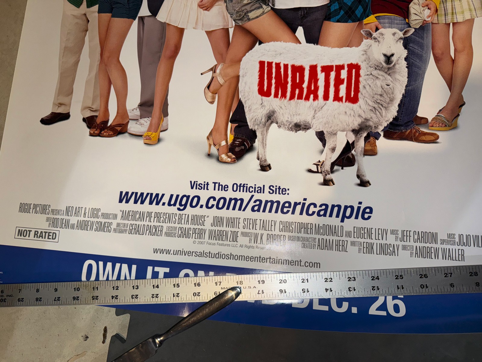 American Pie 2007 Beta House original movie dvd poster 5/10