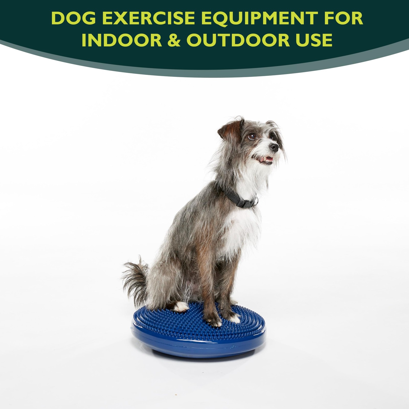 FitPAWS Dog Balance Disc 14" Blue Exercise Workout Tool Strength Core