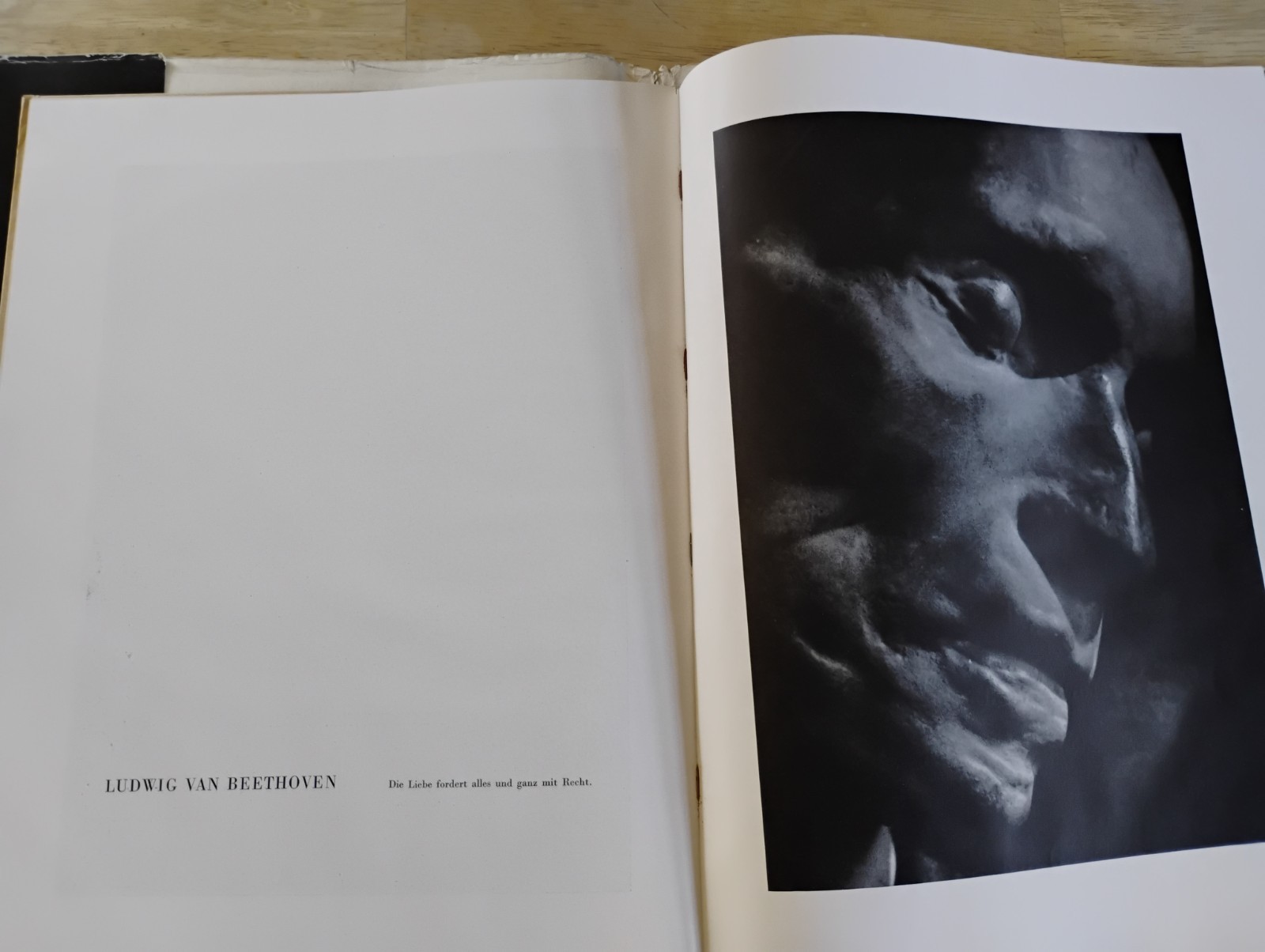 RARE GERMAN DEATH MASK BOOK WW2 PROPAGANDA THIRD REICH WWII ROSEMARIE CLAUSEN