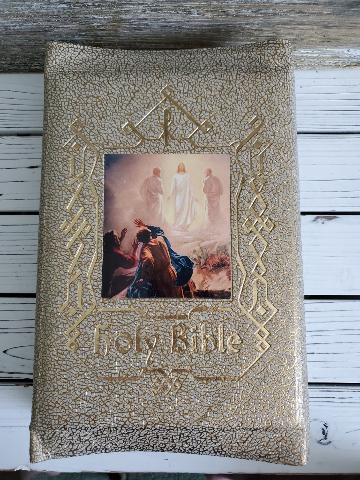 VTG Holy Bible Douay-Challoner & Confraternity Text 1951 White Illustrat Book