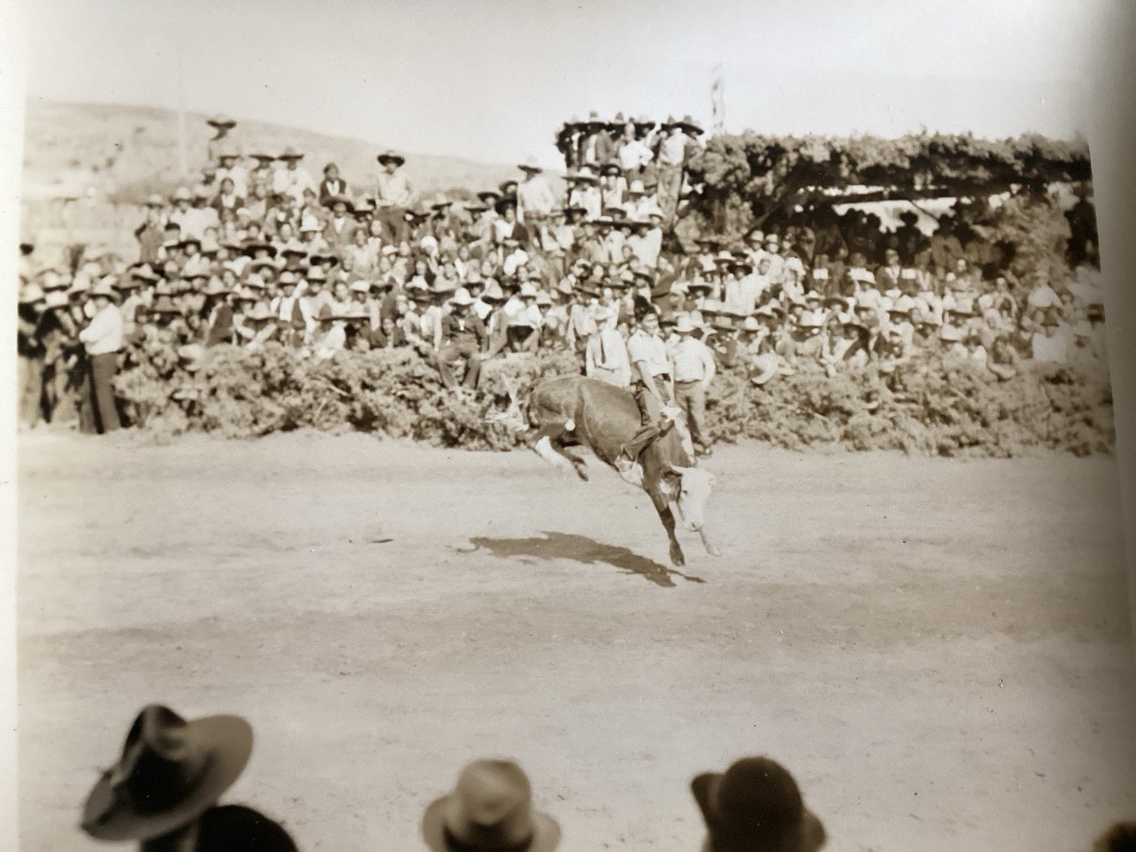 1930s Native American Indian Wild West Show 15/4x5” Original Vintage Photos
