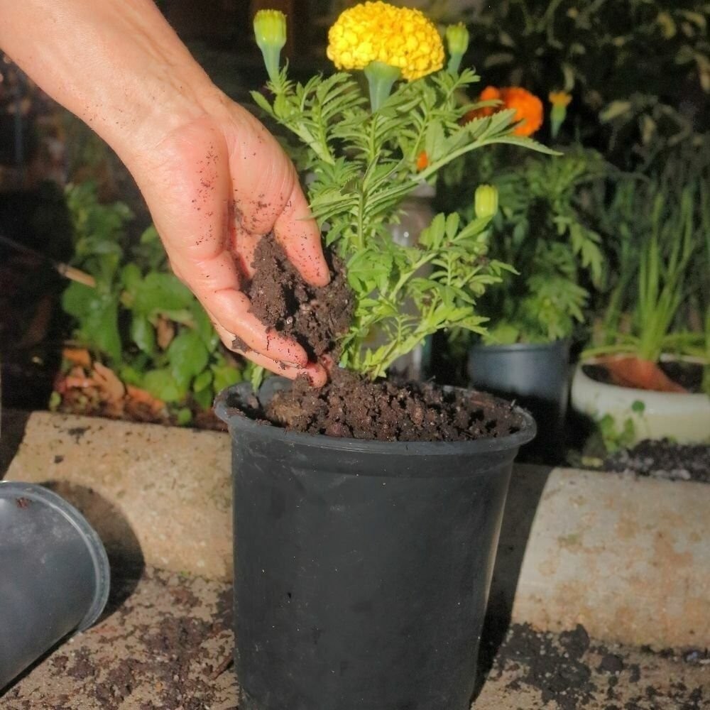 Soil Moisture Water Absorbing Polymer Crystals