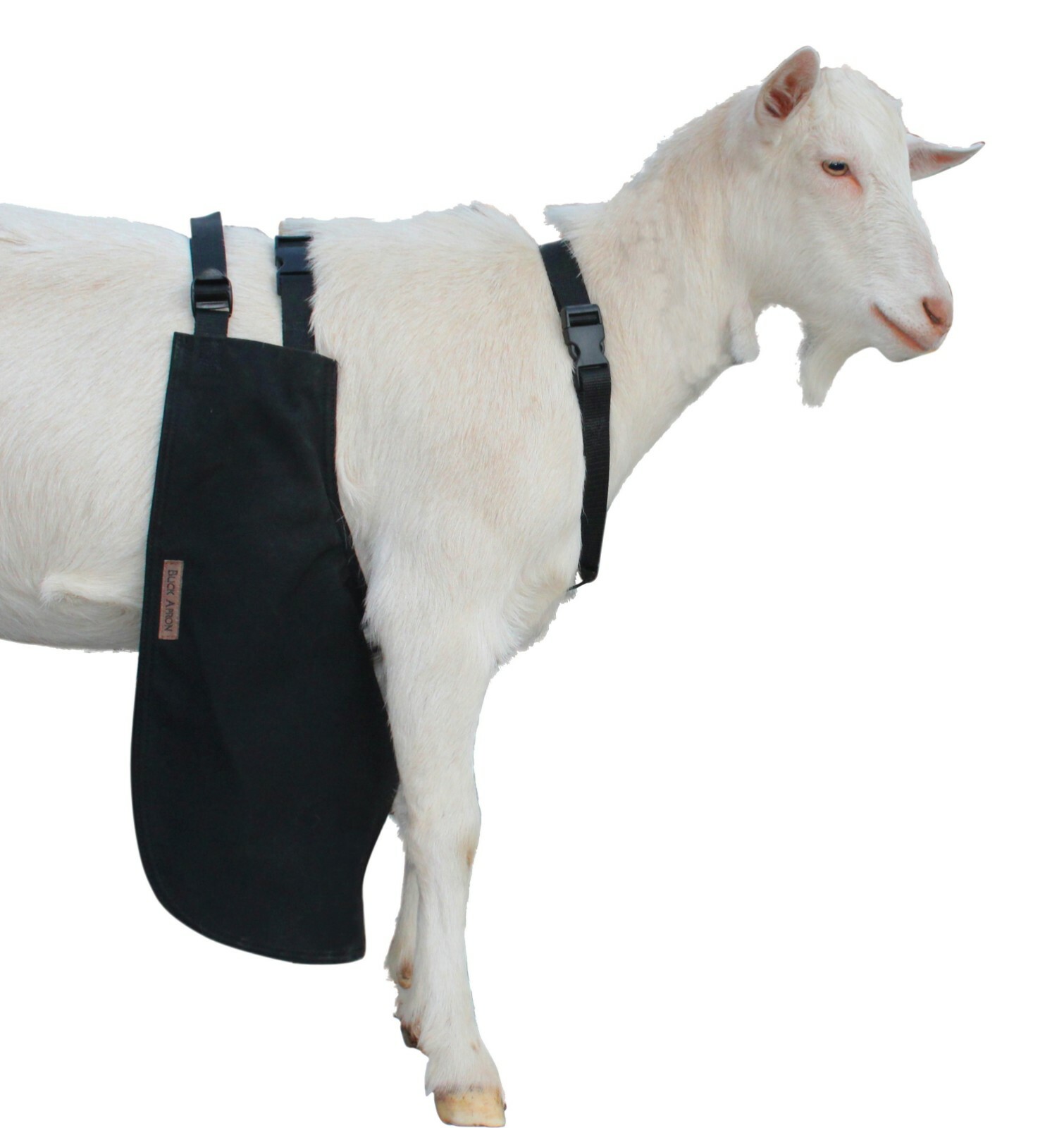 Anti Mating Anti Breeding OLOR Buck Apron™ with Harness - Goats/Sheep LG REG
