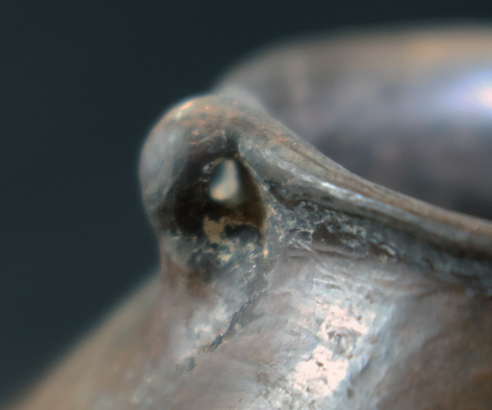 prehistoric Anasazi Casas Grandes Ramos jar with lugs no restoration 600-1450 AD