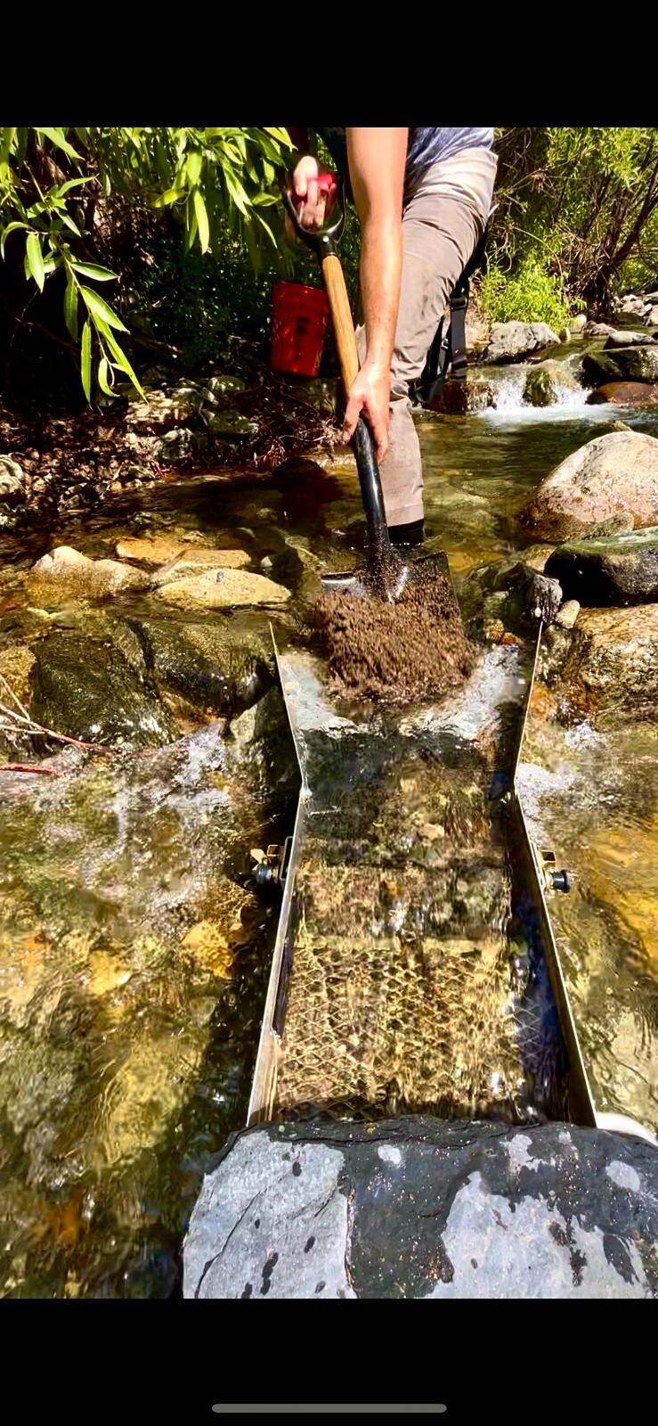 GOLD Paydirt Guaranteed Unsearched Rich with black sand + Added Gold concentrate