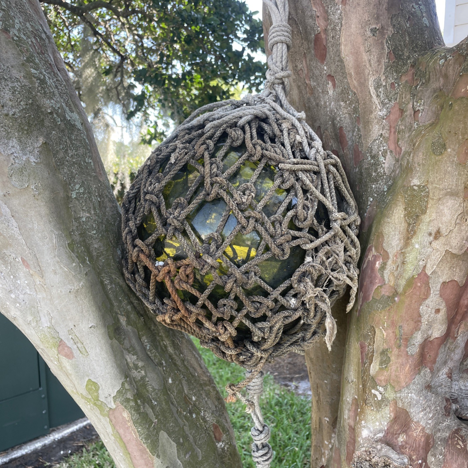 Japanese Large Glass Fishing Float Buoy Ball Net Vintage, Green