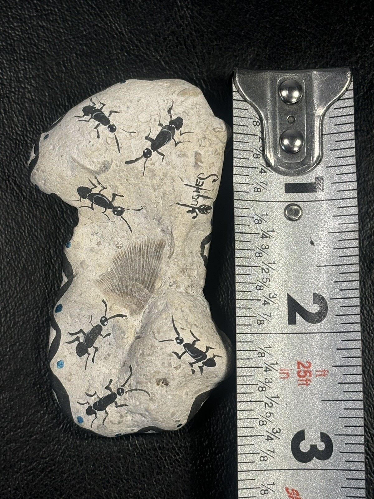 Fish Fin Fossil With Hand Painted Insects Signed By Hughes