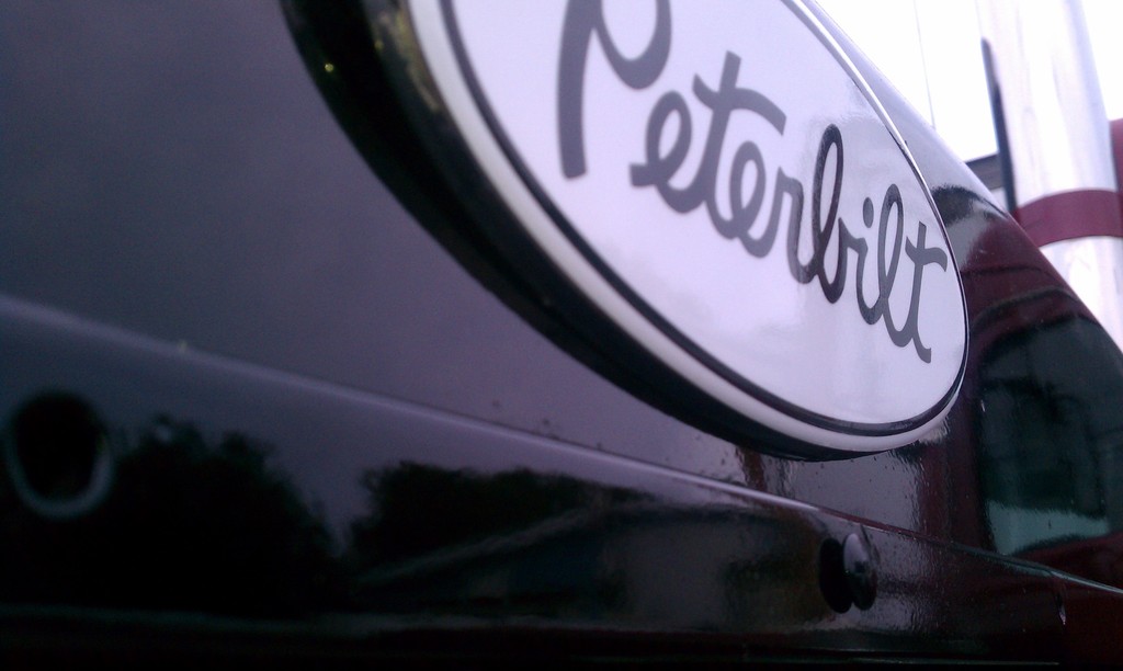 3 Peterbilt Blue Flame Hood & Grille Decal Emblems Flames 359 379 378 353 377 1