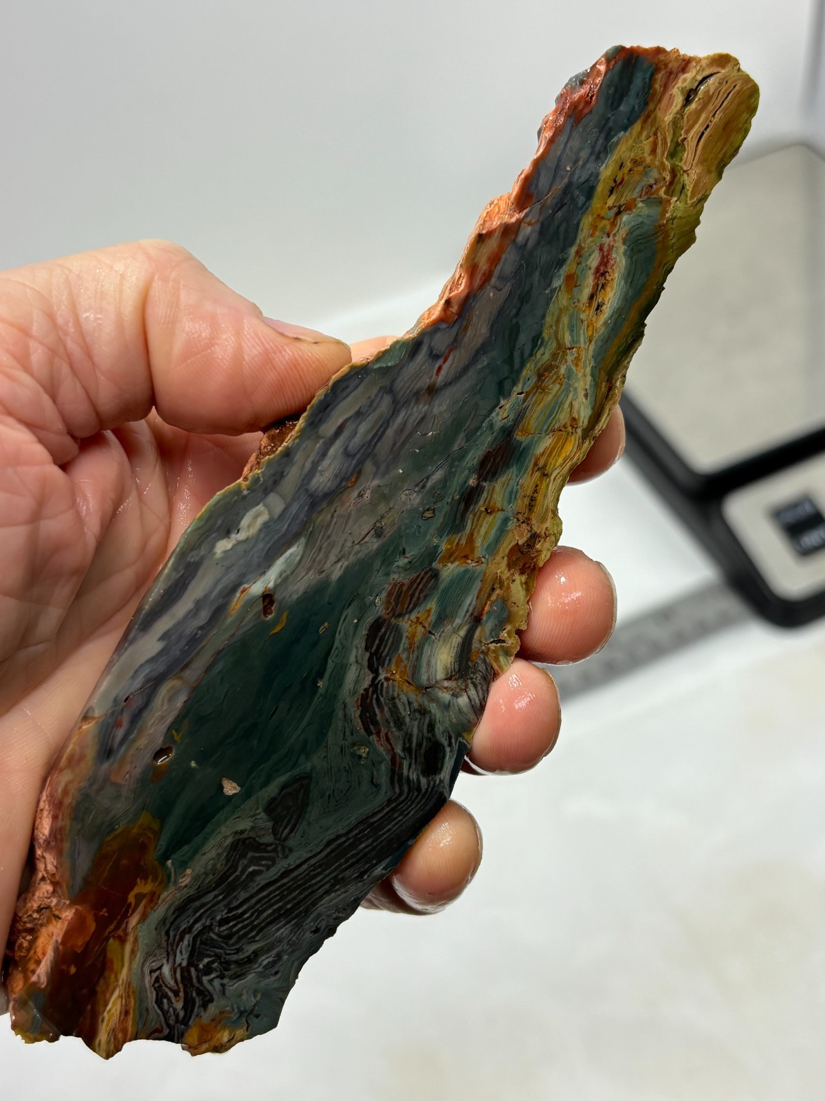 Gary Green Caldera Freedom Jasper Slab Cabbing Lapidary Combo Ship Avail
