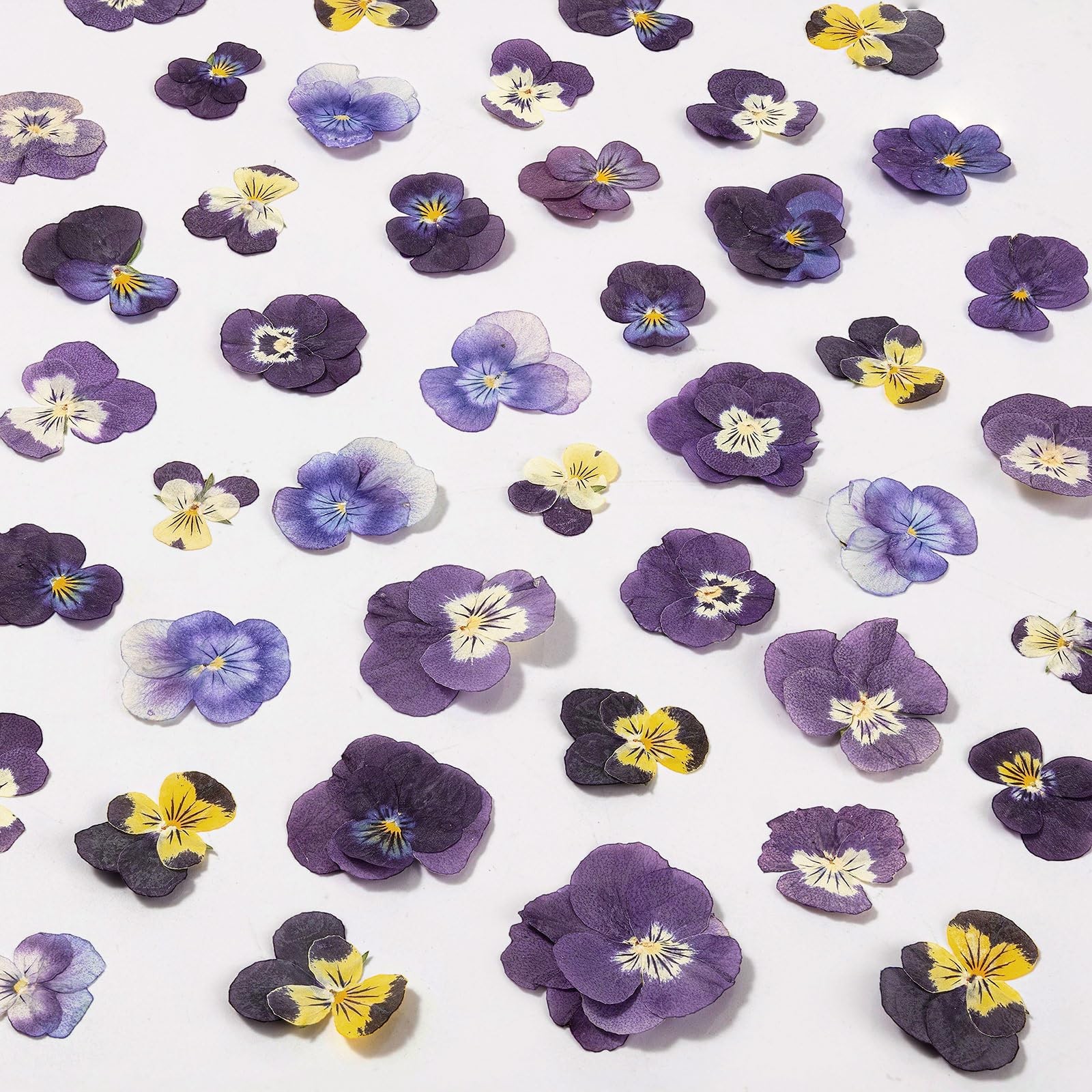 60Pcs Dried Pressed Pansies Flowers for Cake Decorating, Purple, Purple