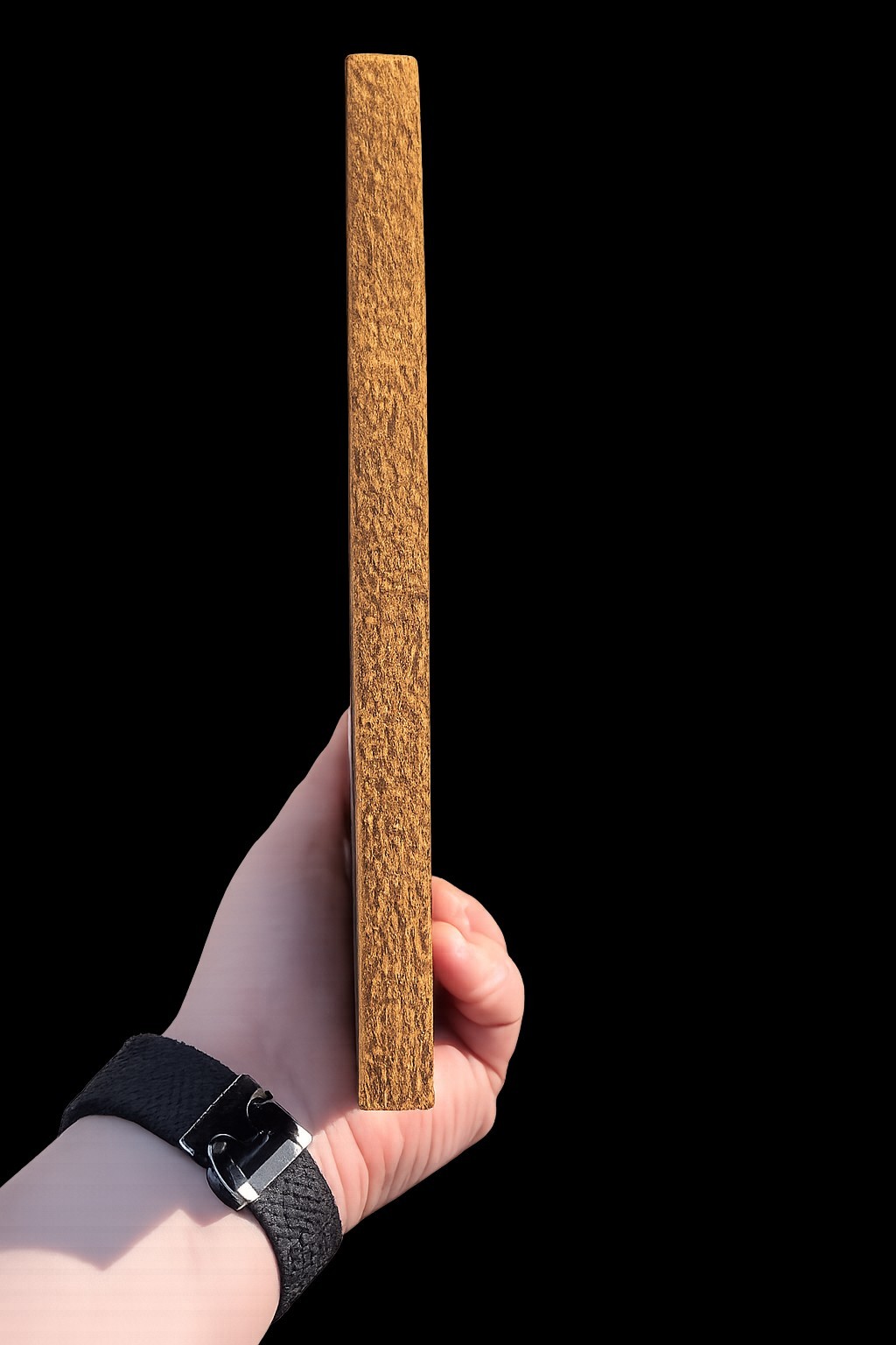 Vintage Ringling Bros Circus 1909 Menagerie Poster Cork Back Plaque Wall Art