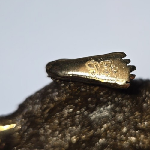 Eddie Wentorf Bronze Tasmanian Devil Sculpture Signed Art