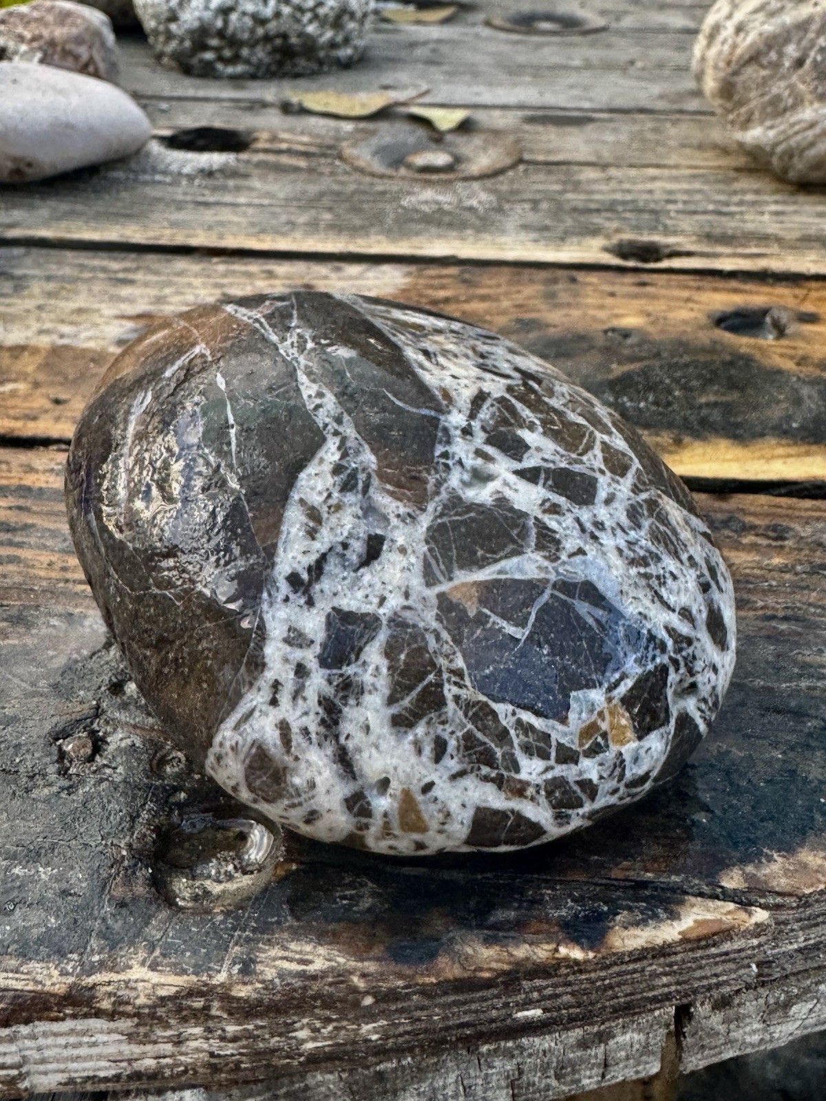 Rocks For Sale Beautiful Matrix Conglomeration Stone Rough Unpolished