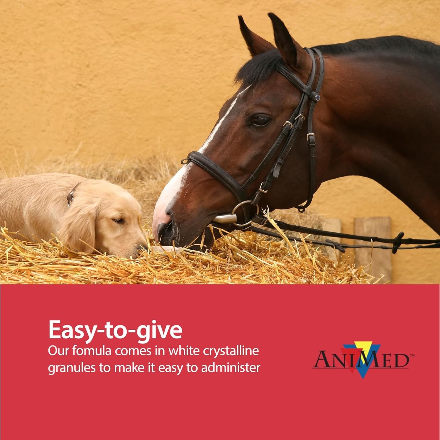 New AniMed MSM 99.9% Pure, 5 lb Free Delivery