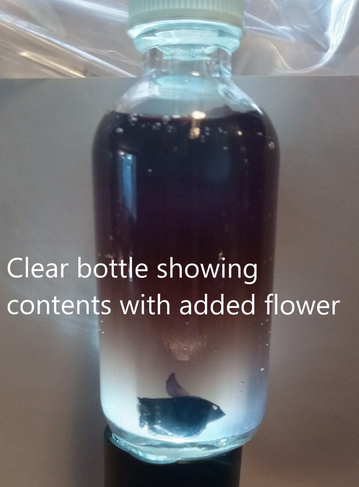 Village Ghost Pipe Tincture steeped for over 1 yr in 2oz bottle IBS Pain relief