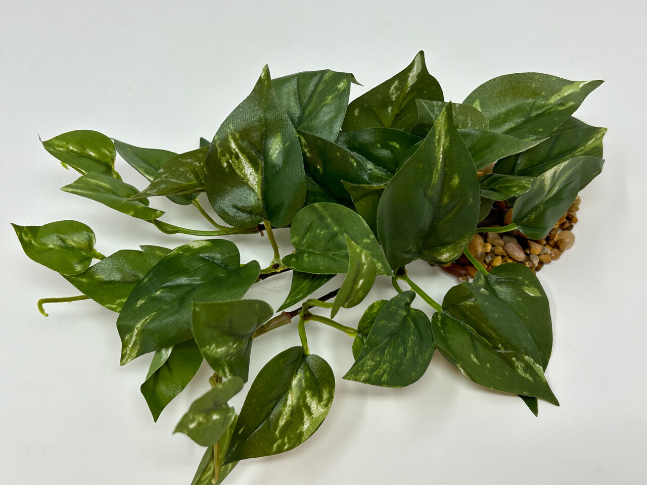 9" LONG, LOW Green/White POTHOS Bush, soft silk aquarium plant, stone base