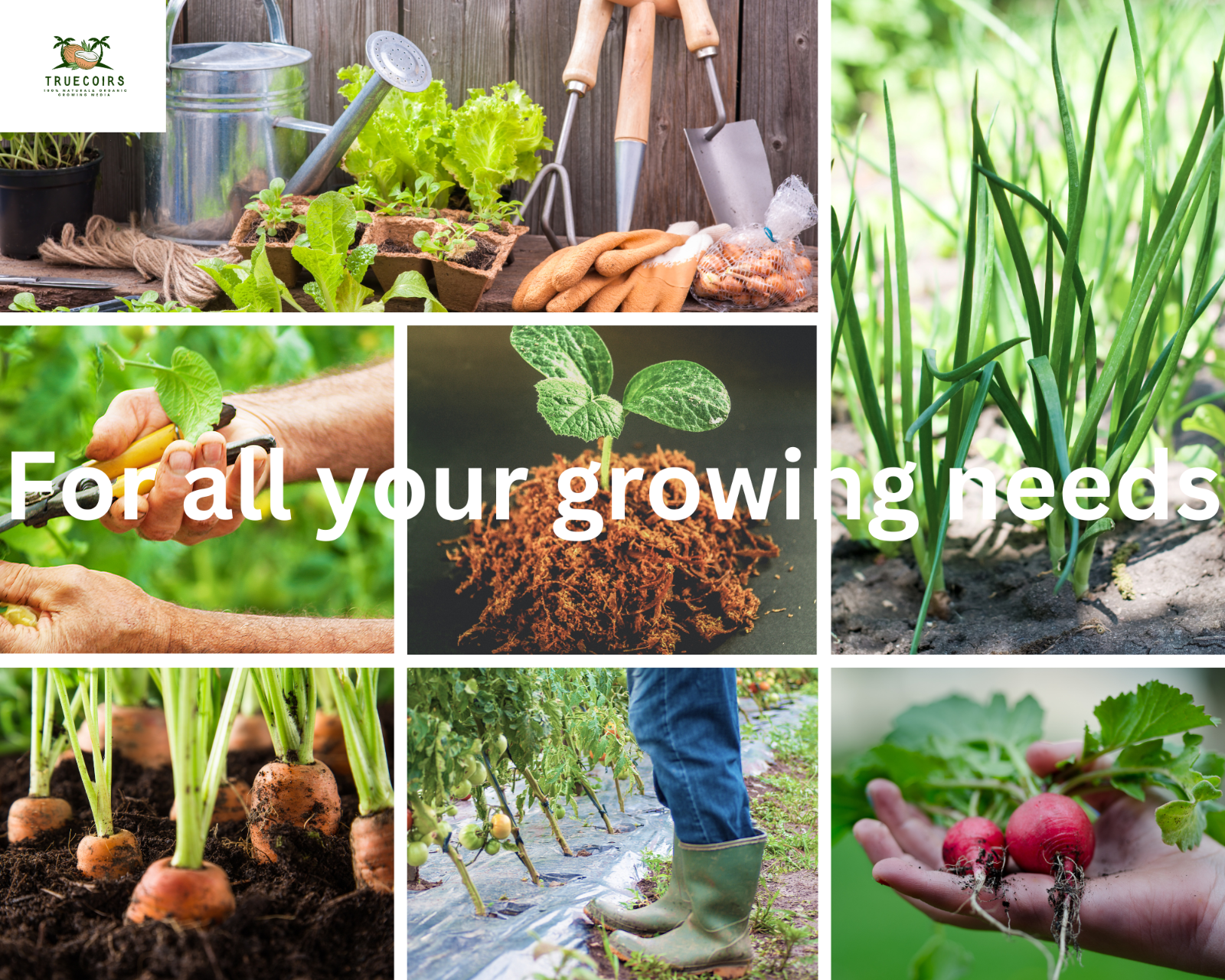 10LB/1.4LB CocoCoir Brick Coconut Fiber Potting Soil Plant Organic Growing Media