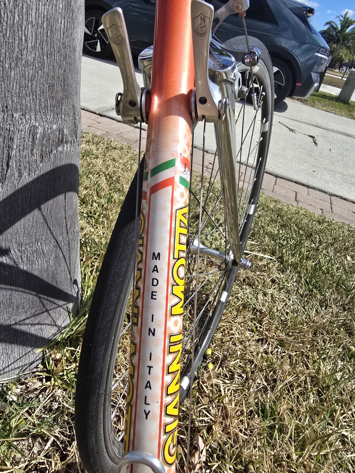 Gianni Motta Bike with Campagnolo Parts 53cm