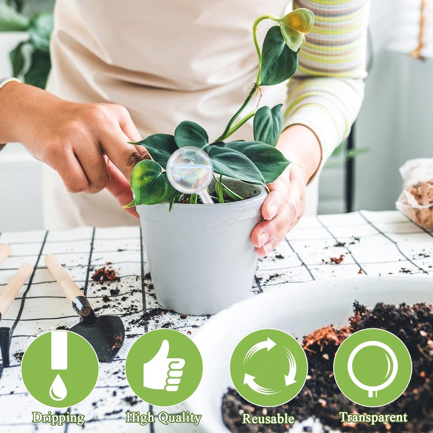 8Pcs Glass Self Watering Globes Rainbow Gradient for Plants