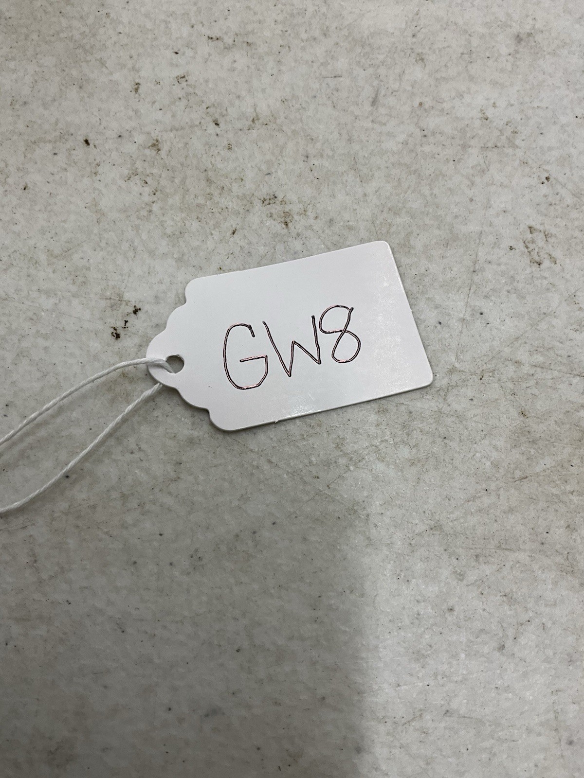 USGI Wiley X Spear Goggles with Cover Smoke Lens Coyote Color