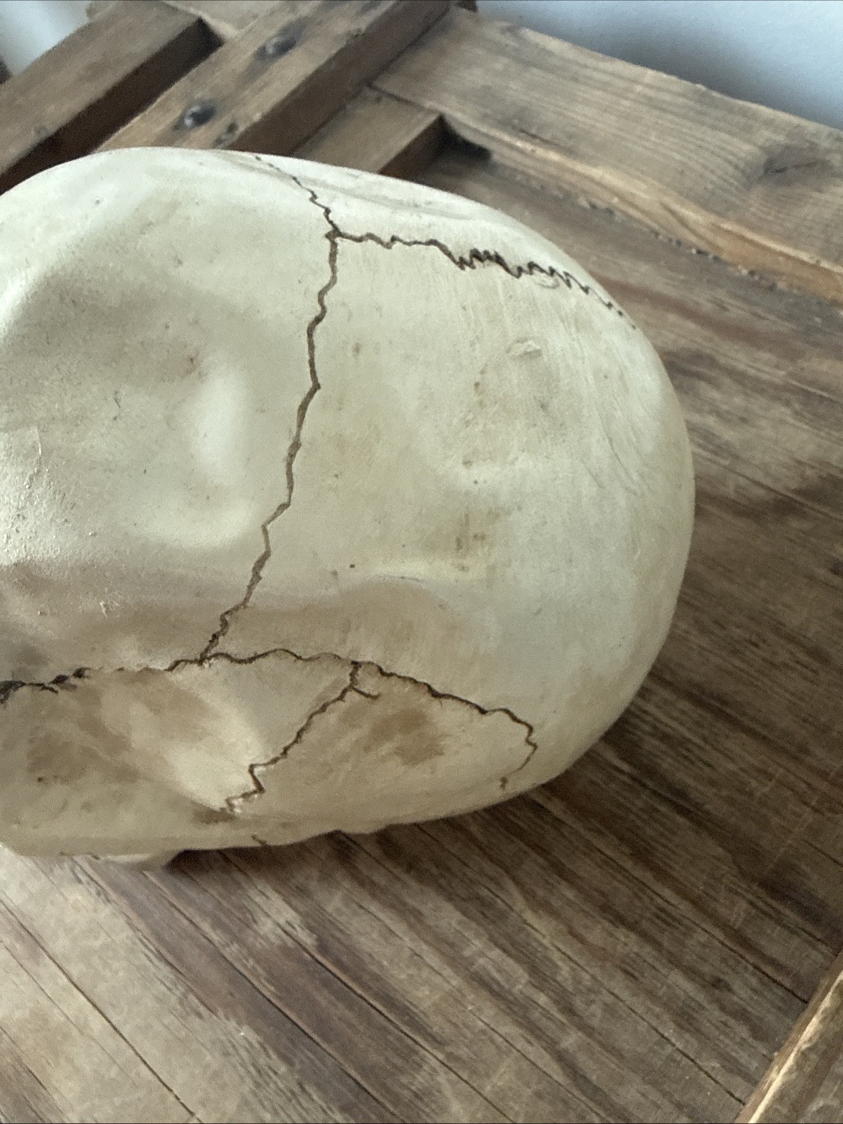 Vintage Fake Life Size Human Skull - skeleton anatomy oddity