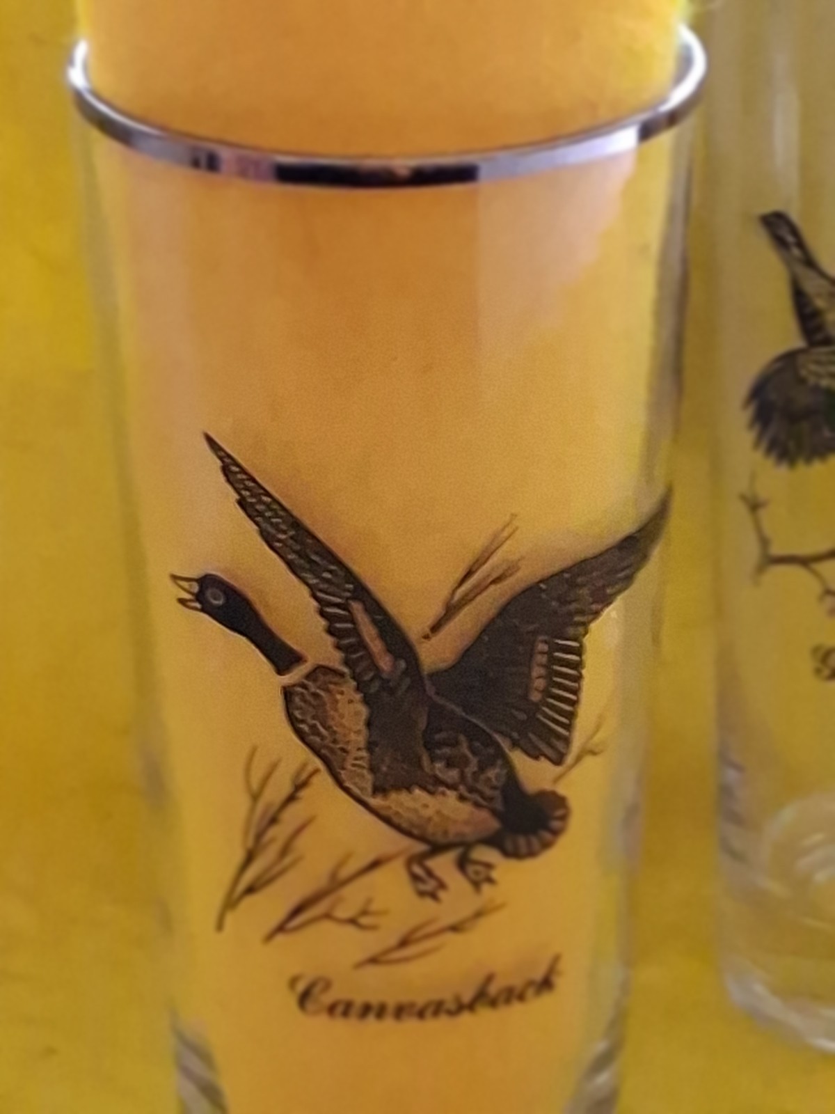 VINTAGE WATERFOWL GAME BIRDS SET OF 7 SILVER RIMMED BARWARE 7" GLASS TUMBLERS