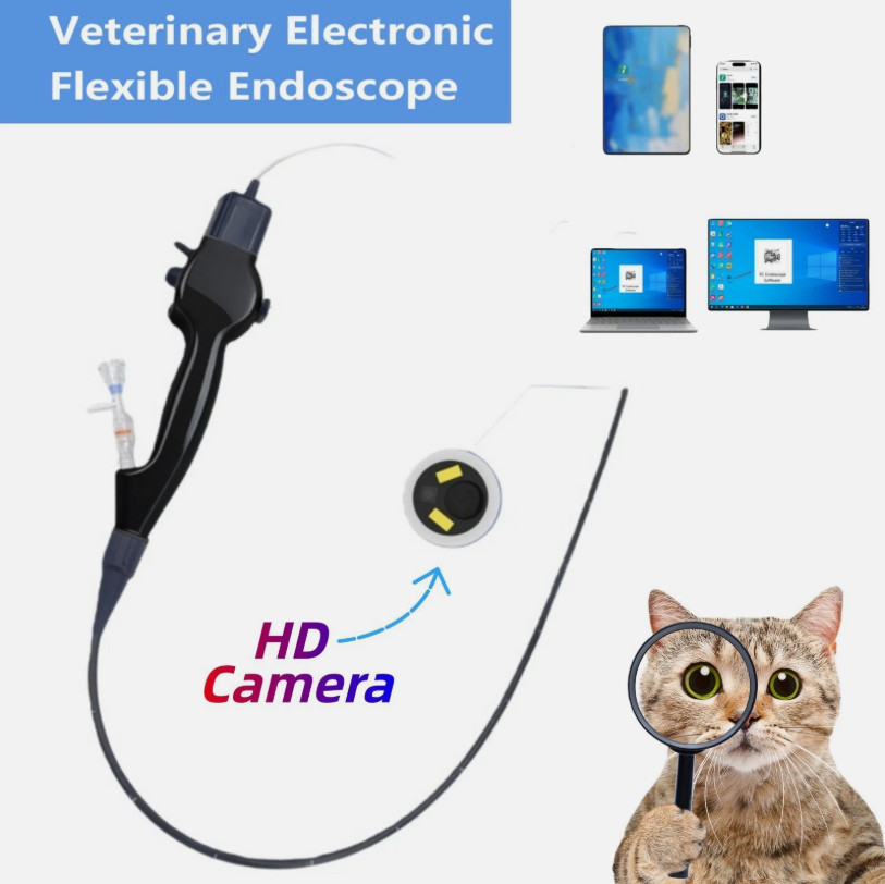 Veterinary Electronic Flexible Endoscope Portable handle SP-SDWJB5826 OD 5.8mm