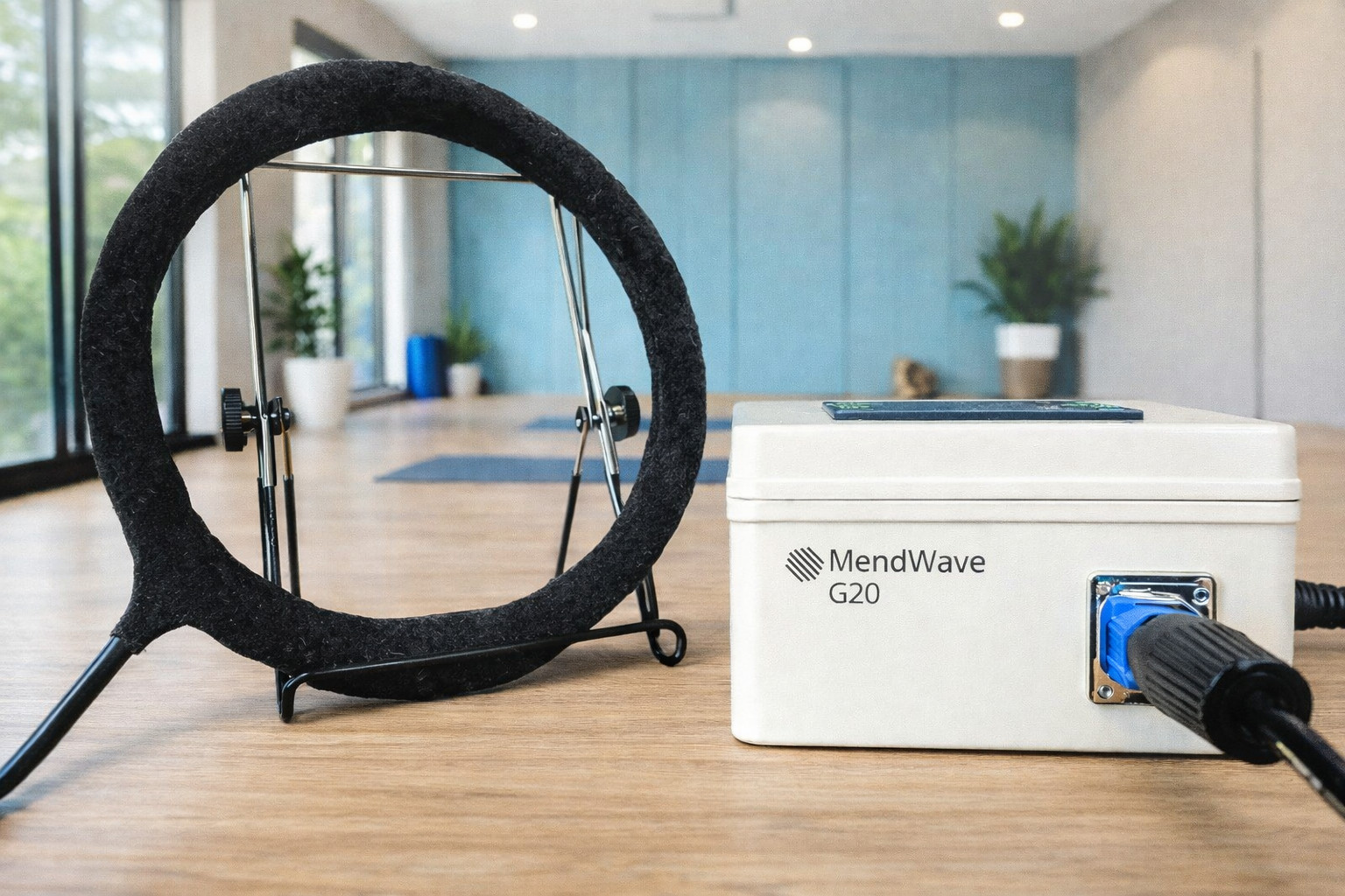 PEMF Loop Device Pulsed Electromagnetic Field For Health & Wellness