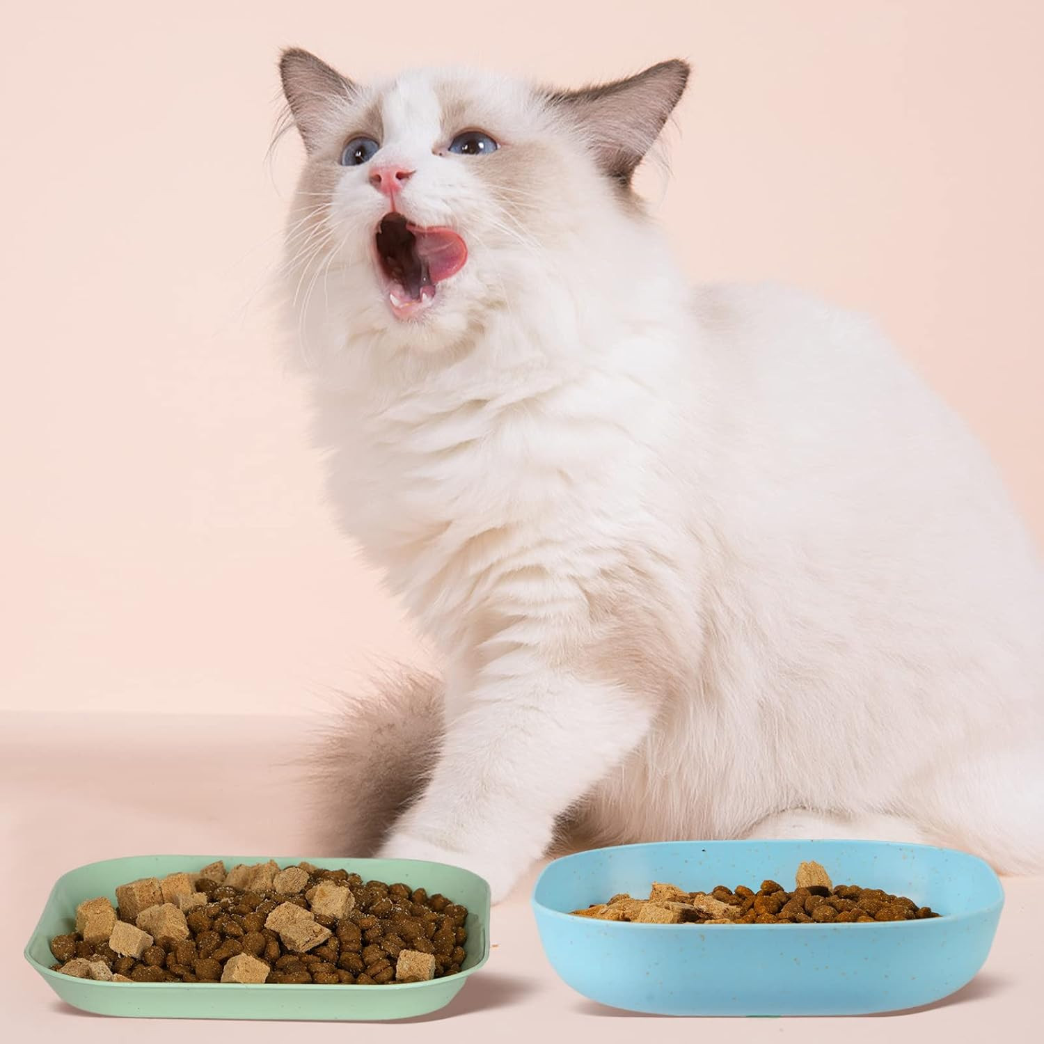 8 Pieces Cat Food Bowl Set, 6 inch Wide Shallow Cat Bowl for Relief Whisker Fati
