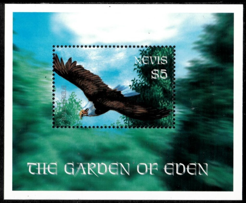 Nevis 2001 - Birds - Souvenir Stamp Sheet - Scott #1259 - MNH