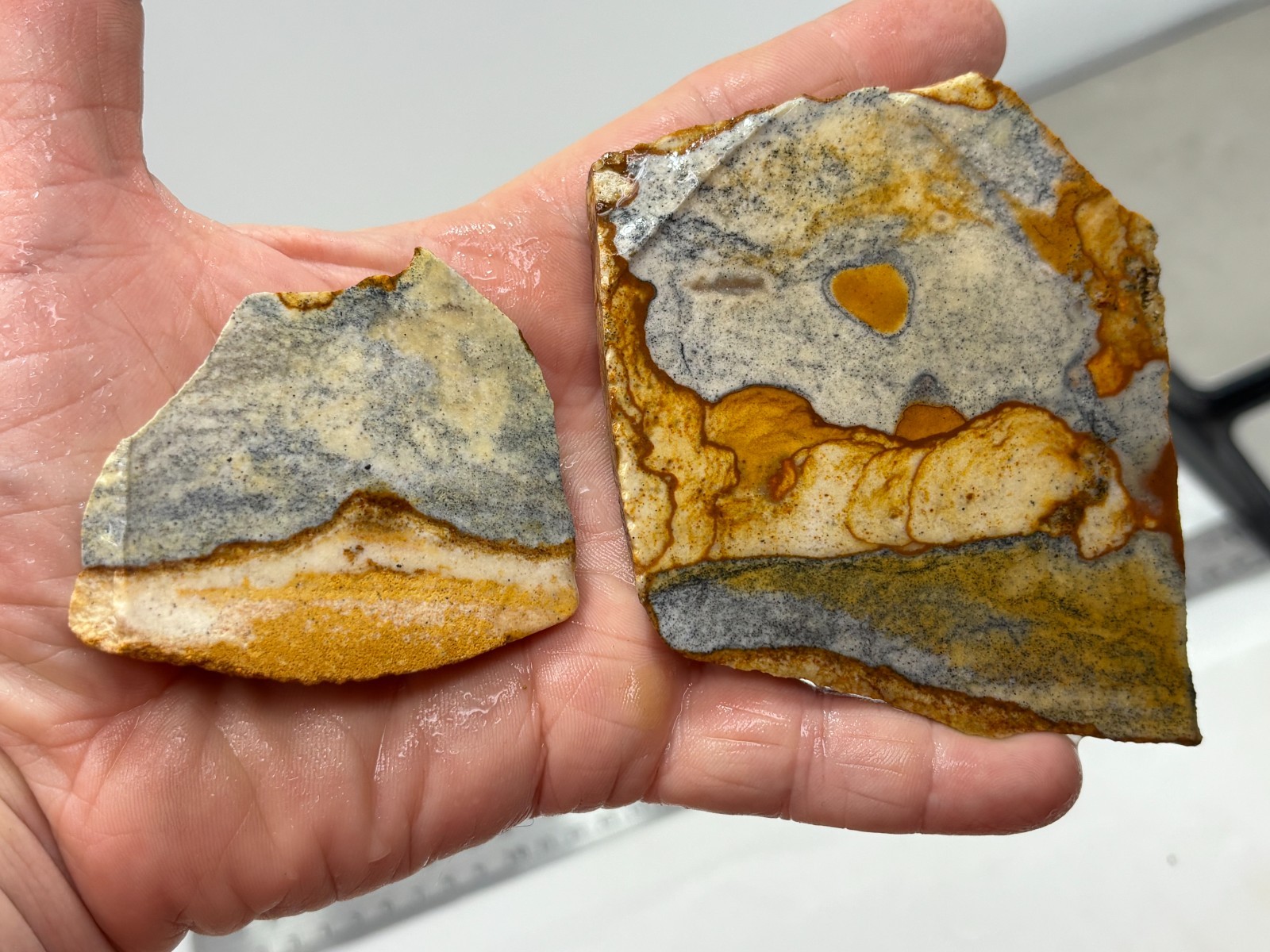 Disaster Peak Picture Jasper Cabbing Lapidary Collecting Combo Ship Avail