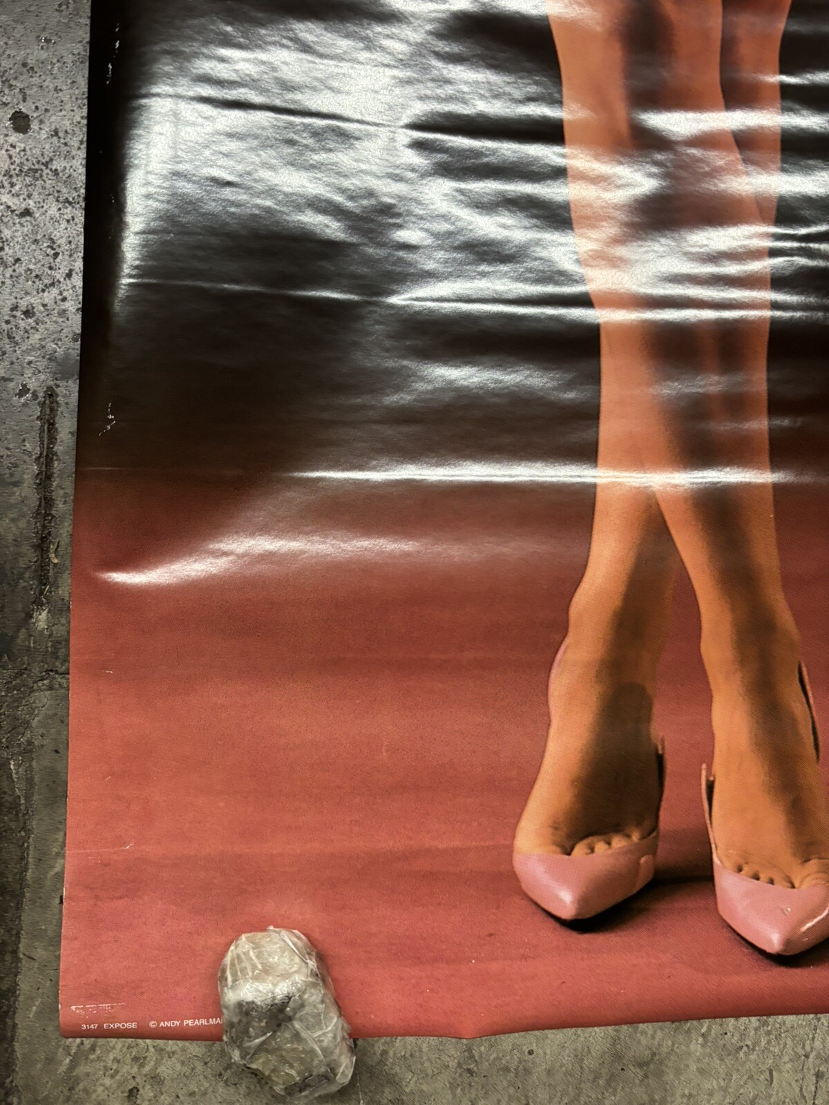 Exposed 1987 hot girl large door Poster water damage C2623