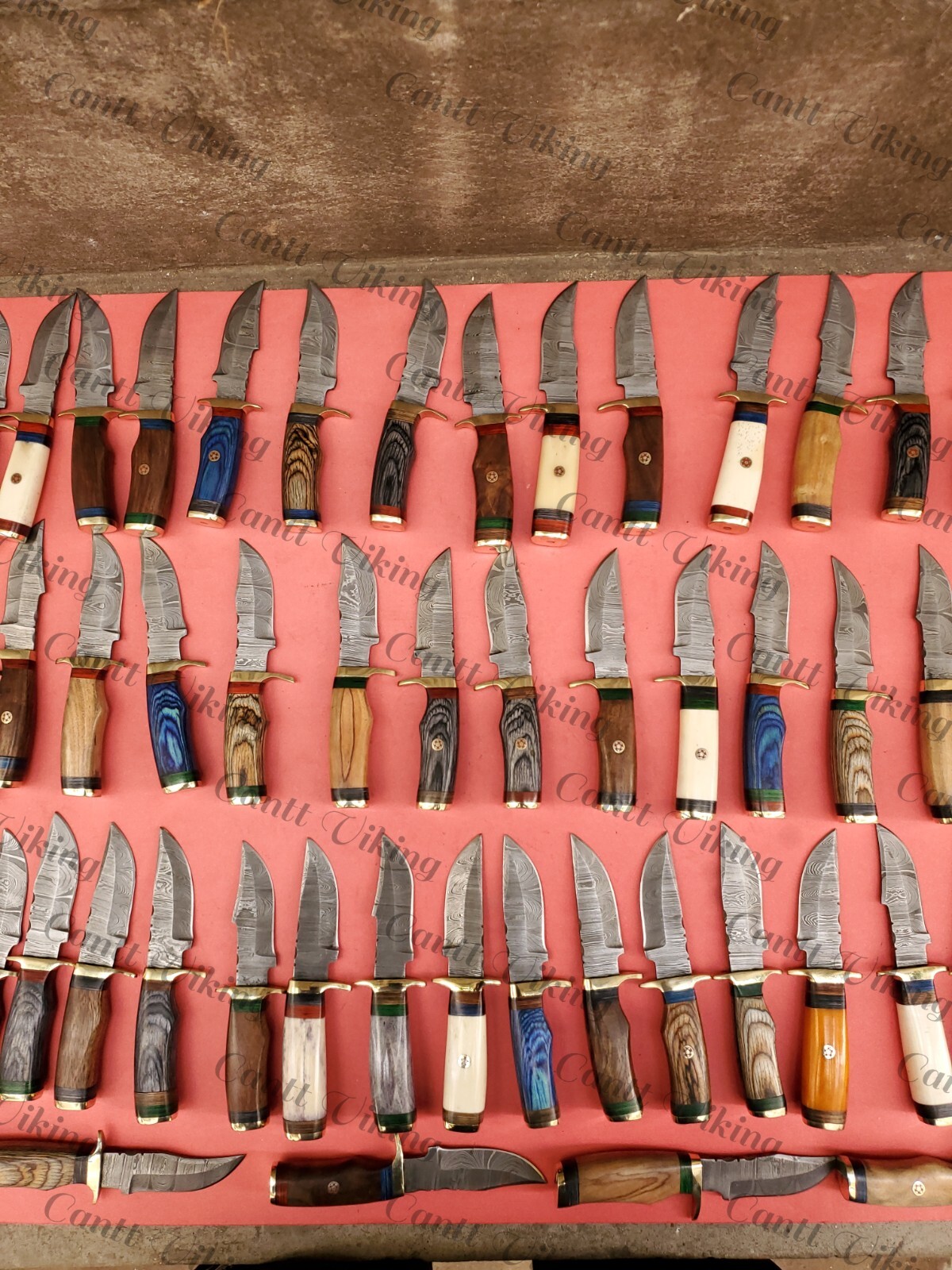 Lots of 60 Custom Handmade Damascus Steel 6" Skinner & Hunting Knives W/Sheath.