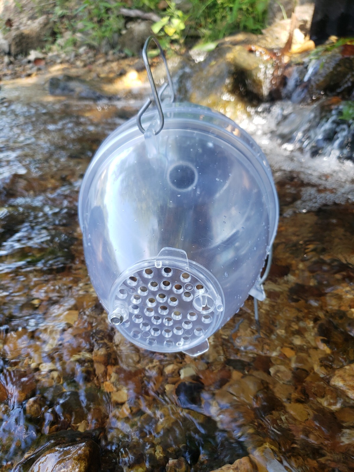 Clear Plastic minnow trap with free shipping in the USA